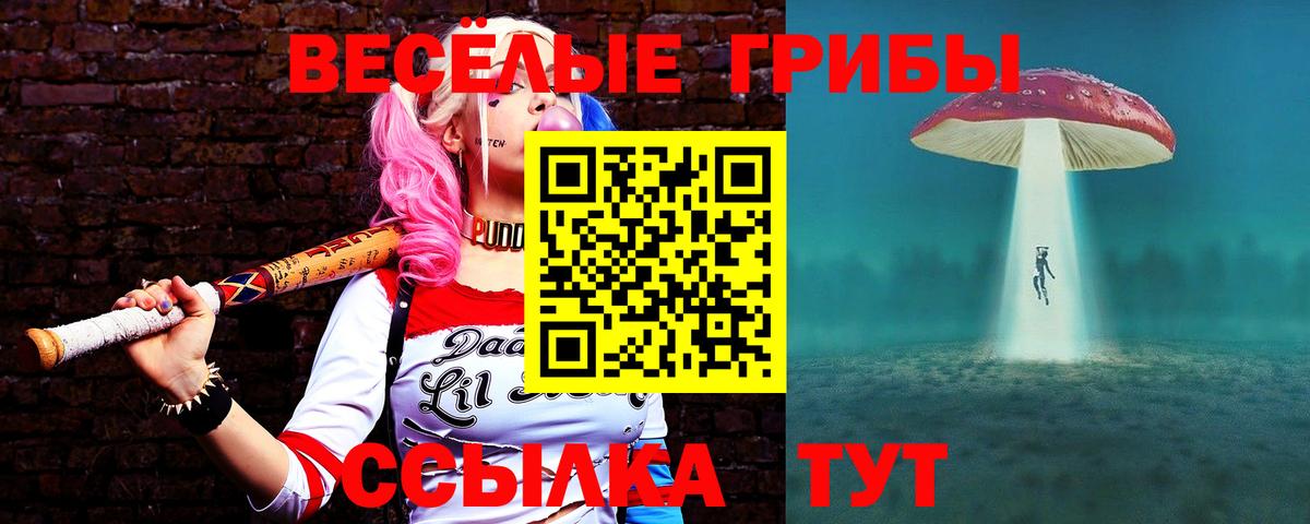 Галлюциногенные грибы ЛСД Семилуки